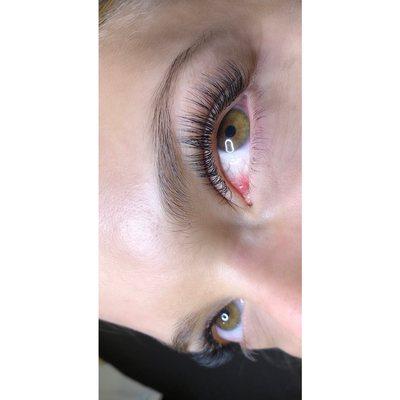 The Lash Bar