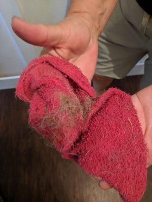 What we found after our "deep clean" and carpet service