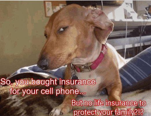 Farmers Insurance - Ricardo Urquijo