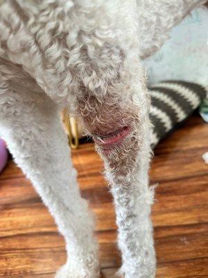 After 4 days of the bandage being removed