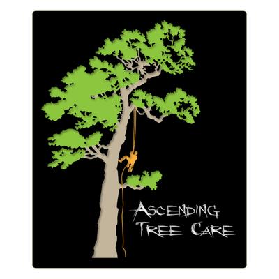 Ascending Tree Care