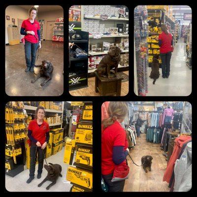 North Mountain K9 -Training Both End Of The Leash