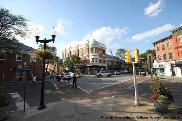 Ellen Murphy - Coldwell Banker Residential Brokerage