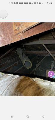 In my attic Mr Walker didnt go up in my attic.