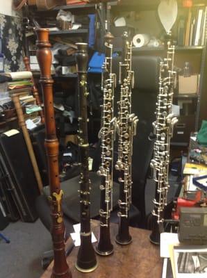 A bunch of oboes