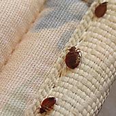 Advanced Surface Solutions LLC