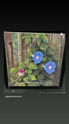 Annas hummingbird with morning glories