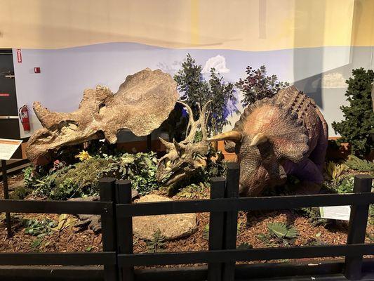 Museum Western Colorado Dinosaur Journey