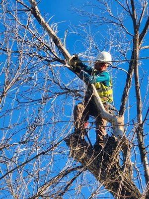 Myran Flooring & Restoration