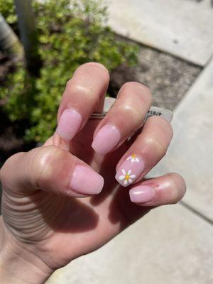 Wellness Nails and Spa