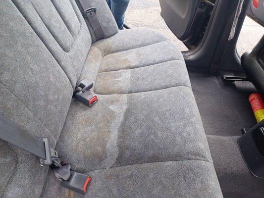 We can shampoo your vehicle !