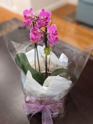 San Mateo Florist & Gifts