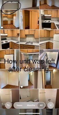 Lynnwood Apartment Homes
