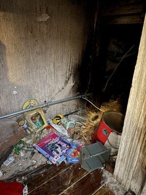 Creepy closed in creepy doll room