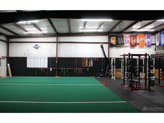 Life In Color Painting