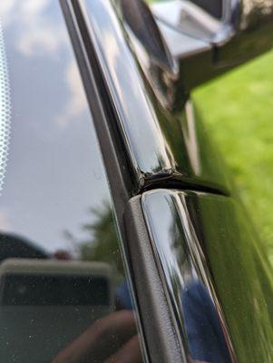 Midnight Protective Films