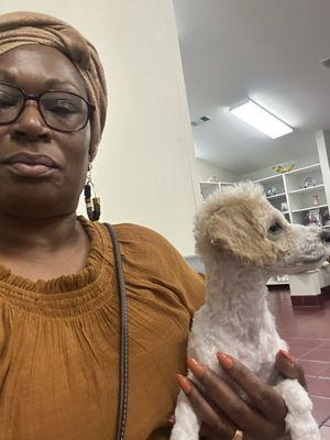 West Mobile Veterinary Clinic