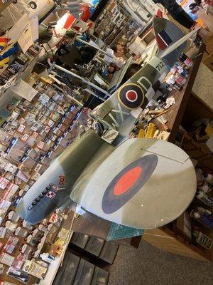 Walt's model Polish fighter plane