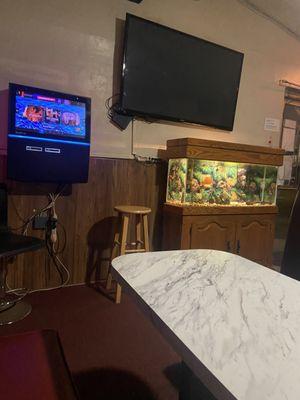 Fish tank and tv screen