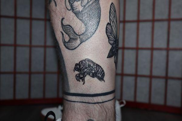 The Tattoo Shop With No Name