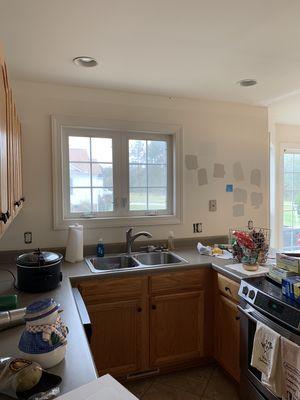 Gonzalez Pro Painting