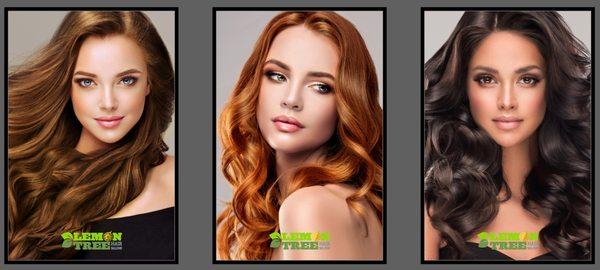 Lemon Tree Hair Salon of Sussex