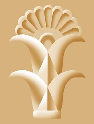 Anoosh Afifi, MS, DDS