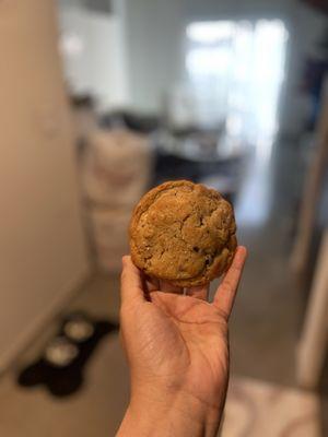 Regular Oatmeal Raisin
