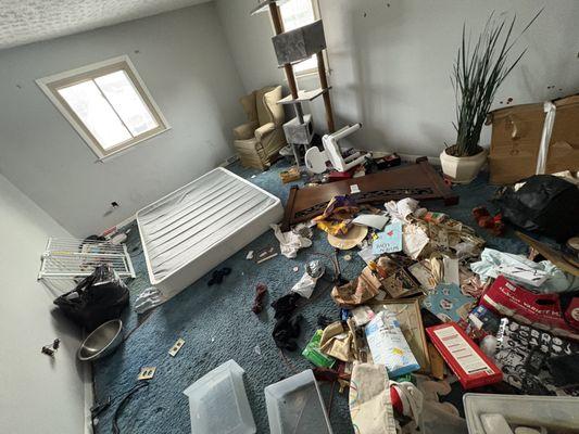 161 Kings Barbershop