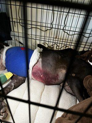 Amputation Recovery