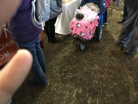 Plymouth Harbor Farmer's Market