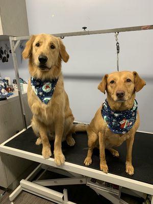 Turner, & Sandy makes her debut!