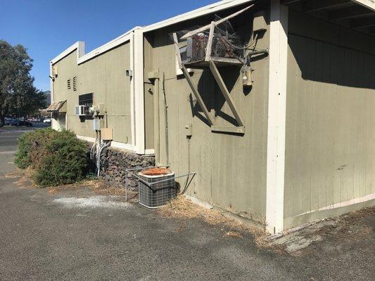 Place just fine wines and limited cigars for locals only