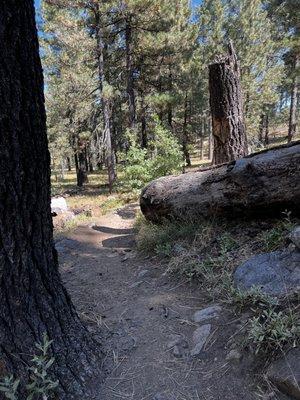 Plenty of shade in spots for a snack
