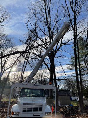 J Tree Services