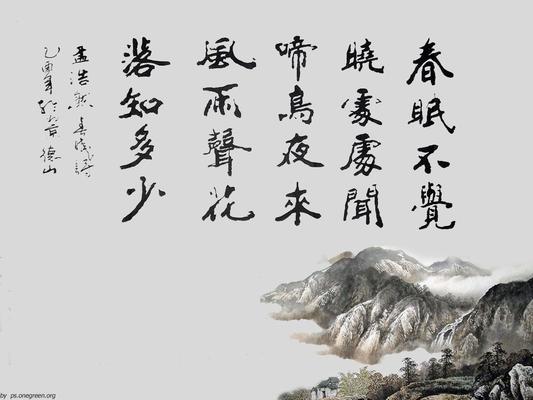 Twin Cities Chinese Tutor