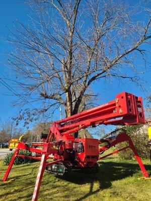Colter's Tree Service