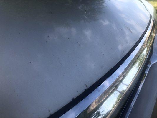 You can see the actual dirt, and where some of it was wiped away, where the hood meets the grill.