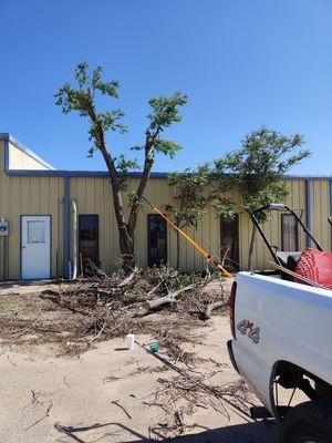 Premier Vista Landscape Design Pros