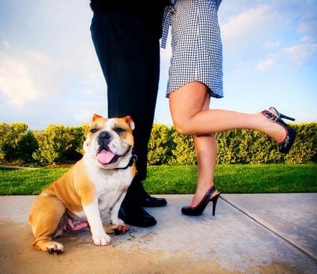 Scratch and Sniff Photography