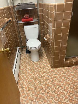 The Cleaning Servants