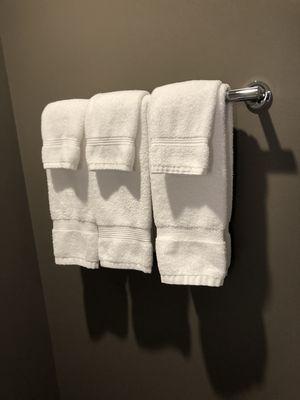 Kaitlin & Adrianna Cleaning