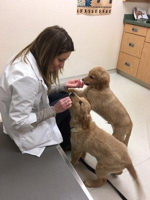 Waukesha Animal Hospital