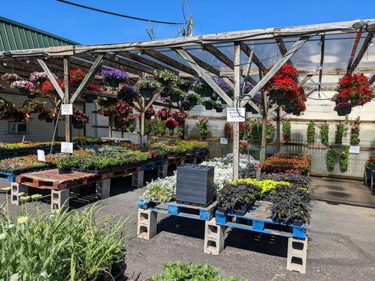 Shireman's Farm Market