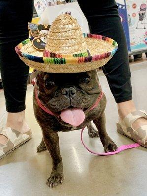 Karen is ready for some tacos