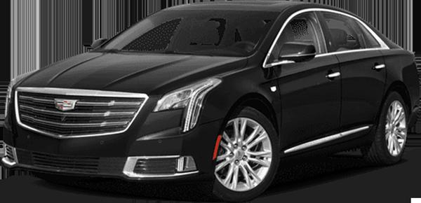 Leisure Limousine and Sedan