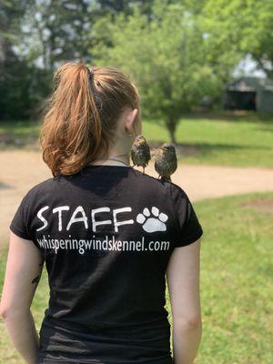 Whispering Winds Kennel