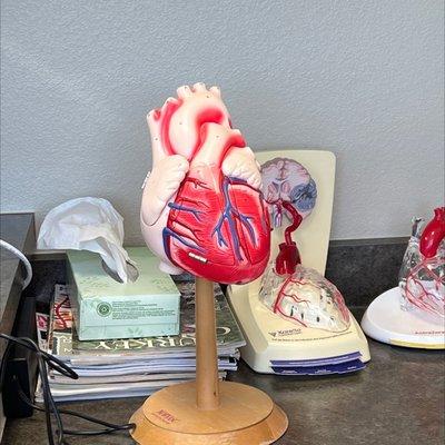 Pierremont Cardiology