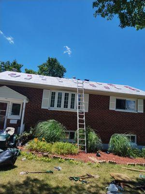 Daves Handyman Service