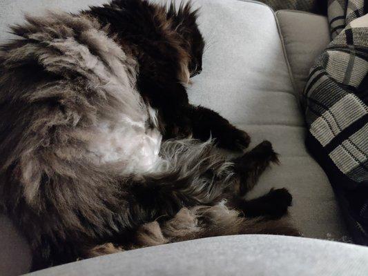 Menifee Valley Humane Society